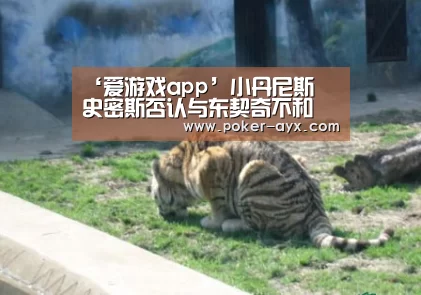 ‘爱游戏app’小丹尼斯•史密斯否认与东契奇不和(图4) ‘爱游戏app’小丹尼斯•史密斯否认与东契奇不和(图4)